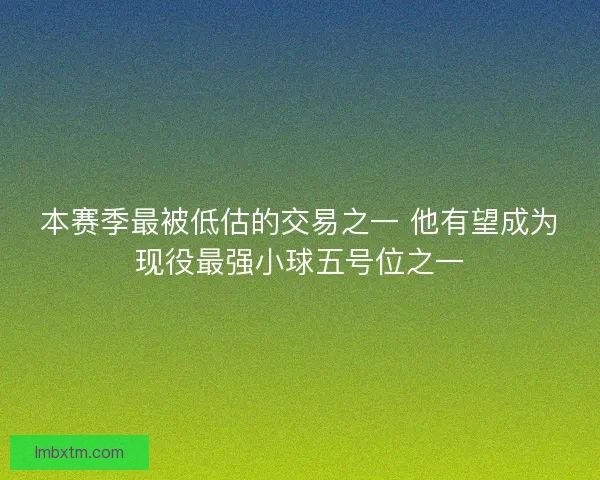 本赛季最被低估的交易之一 他有望成为现役最强小球五号位之一